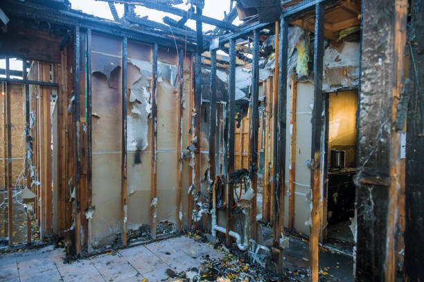 Professional Soot Cleanup technician working in Lake Lotawana, MO
